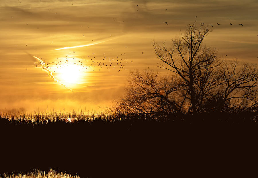 Morning in Merced -- Sunrise at Merced National Wildlife Refuge, California Photograph by Darin Volpe