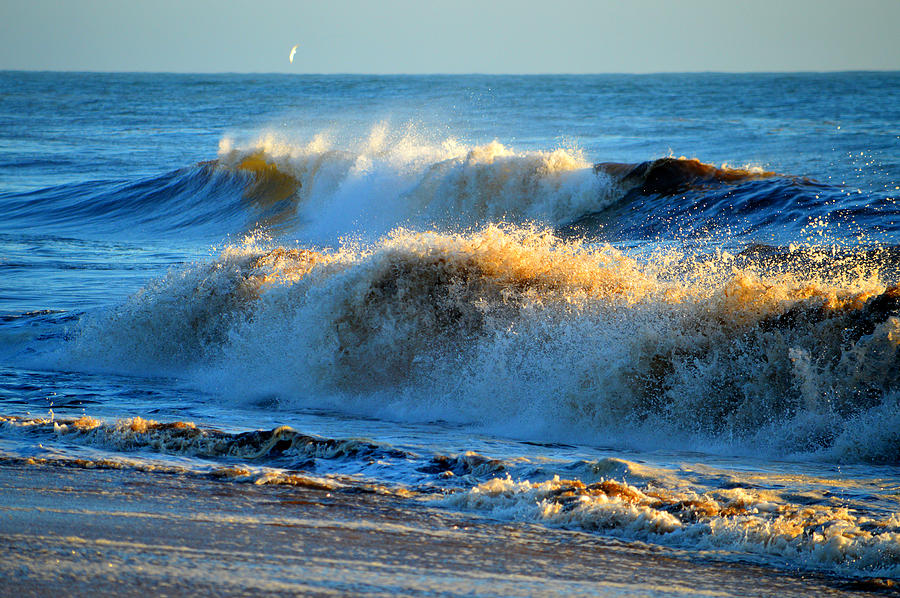 Beach Photograph - Sunrise in Motion by Dianne Cowen Cape Cod Photography