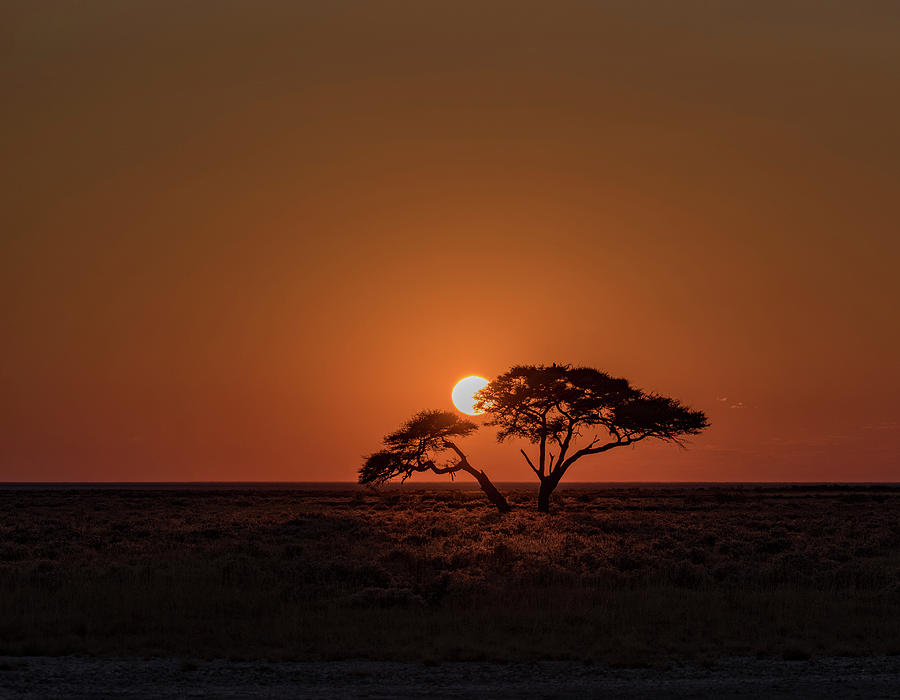 Sunrise in Namibia Photograph by Roni Chastain