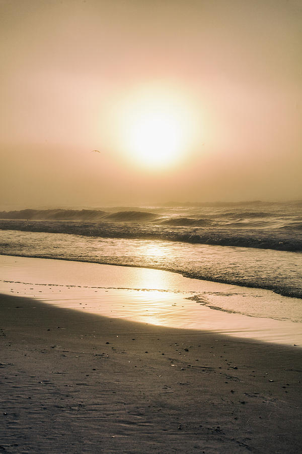 Sunrise in Orange Beach  Photograph by John McGraw