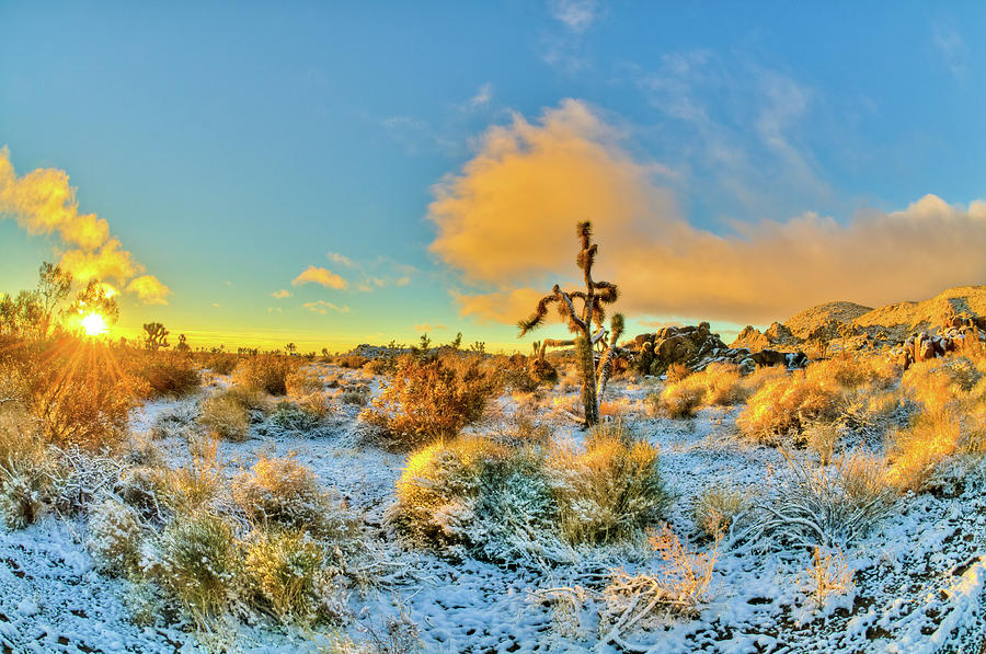 Sunrise in Snowy Desert Photograph by Connie Cooper-Edwards