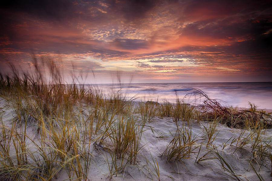 Sunrise in the Breeze Photograph by CA  Johnson
