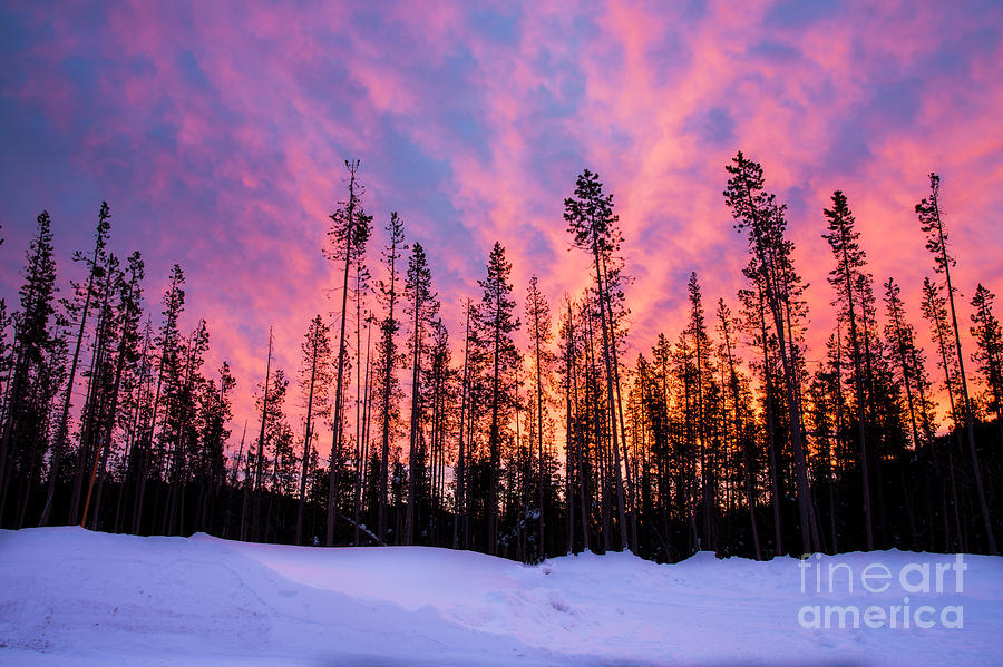 Sunrise In The Cascades Photograph