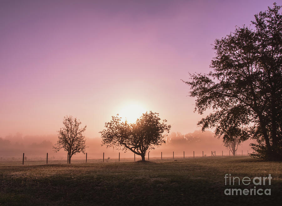 Sunrise in the Country Photograph by Andrea Anderegg