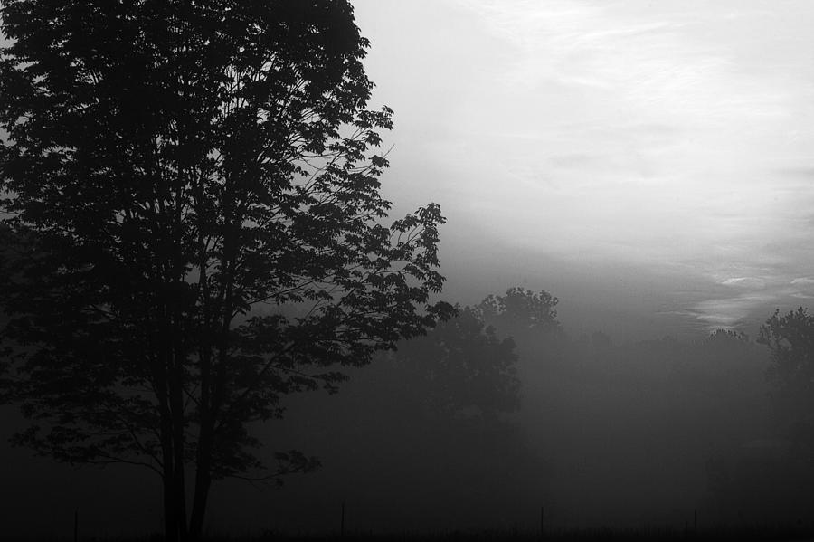 Sunrise In The Country-black And White Photograph