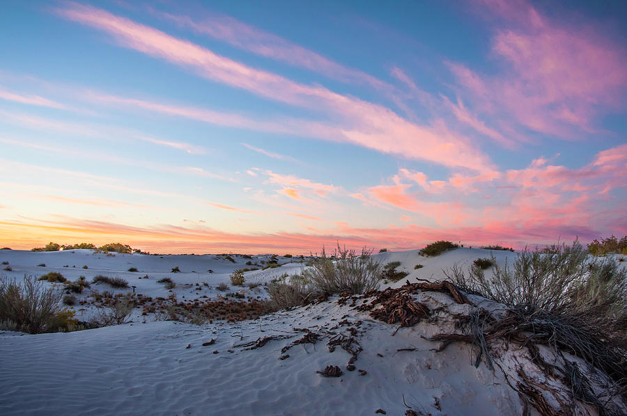 Sunrise in the Desert Photograph by John Roach