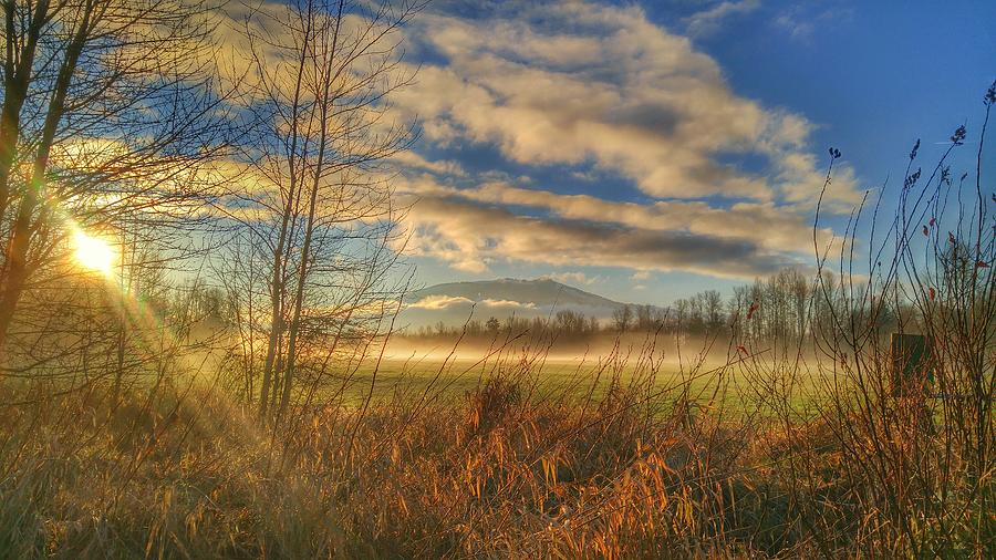 Sunrise in the Field Photograph by Heather Saulsbury - Fine Art America