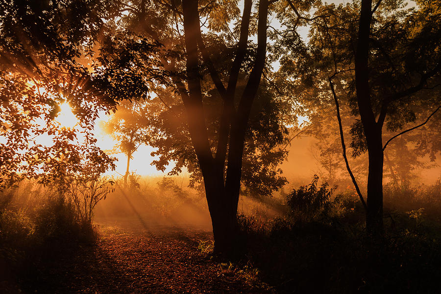 Sunrise in the Marsh 1 Photograph by Joni Eskridge
