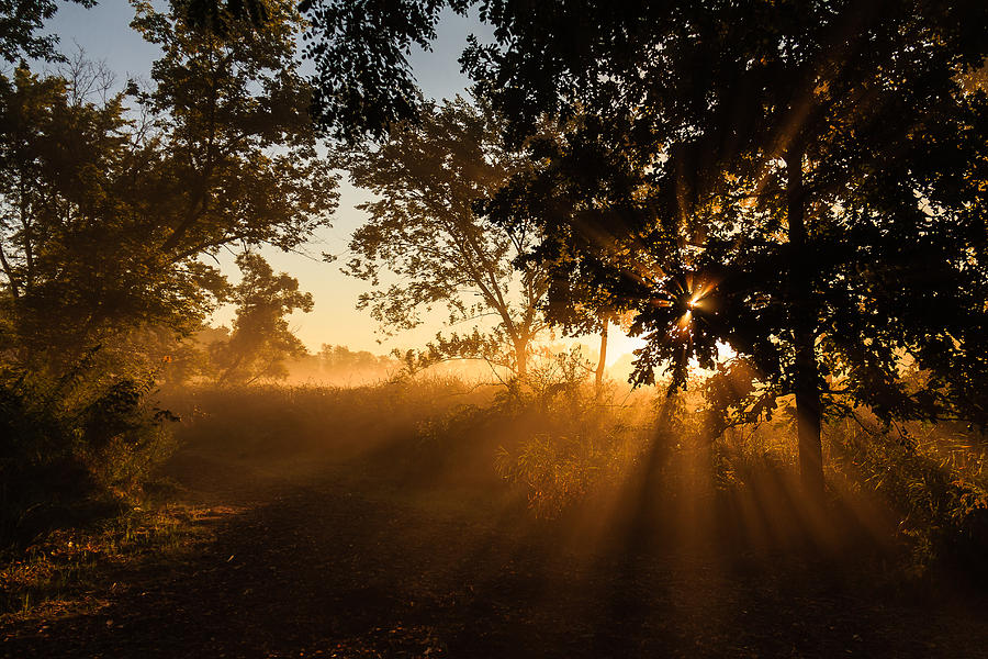 Sunrise in the Marsh 2 Photograph by Joni Eskridge