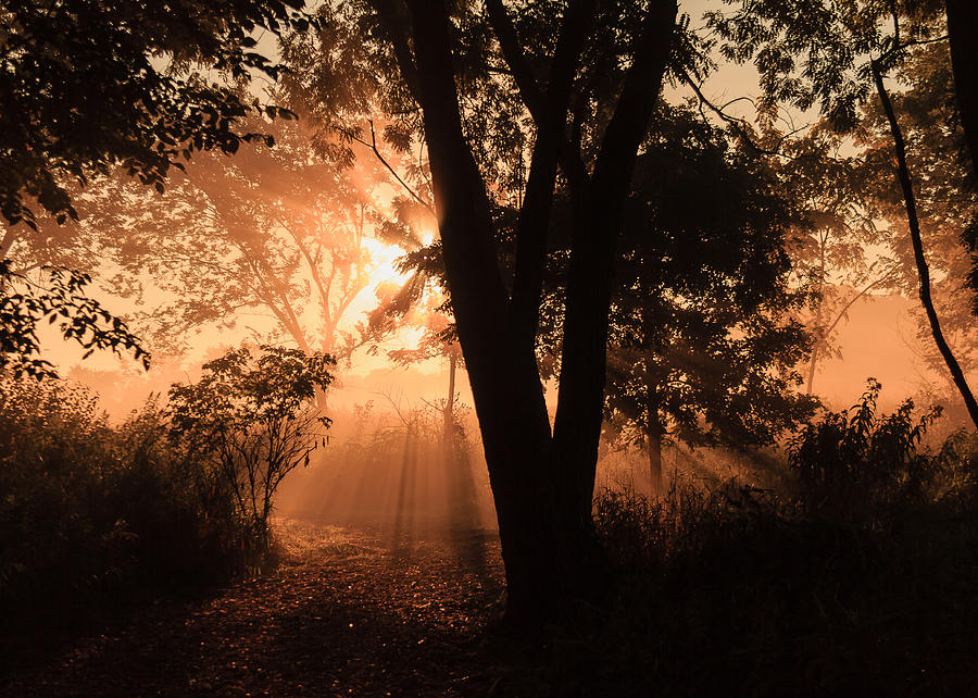 Sunrise in the Marsh 3 Photograph by Joni Eskridge