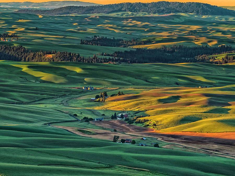 Sunrise in the Palouse Photograph by Peggy Blackwell