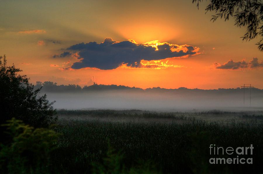 Nature Photograph - Sunrise in the swamp-3 by Robert Pearson