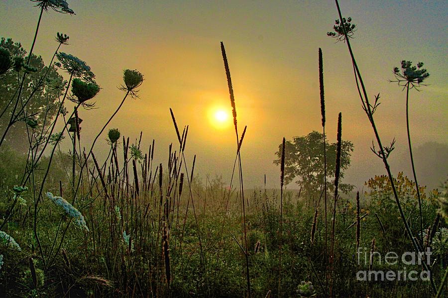 Sunrise in the swamp Photograph by Robert Pearson