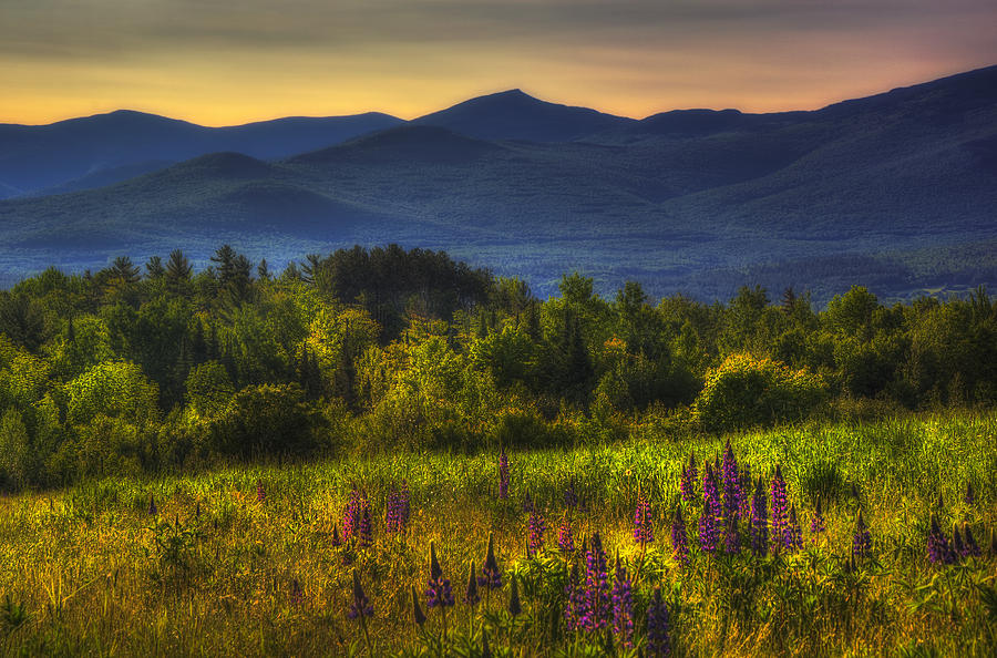 Sunrise in the White Mountains of New Hampshire Photograph by Joann Vitali