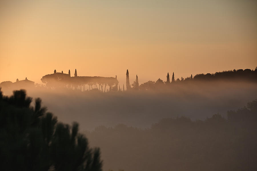 Sunrise in Tuscany Photograph by Ursula Alter - Fine Art America