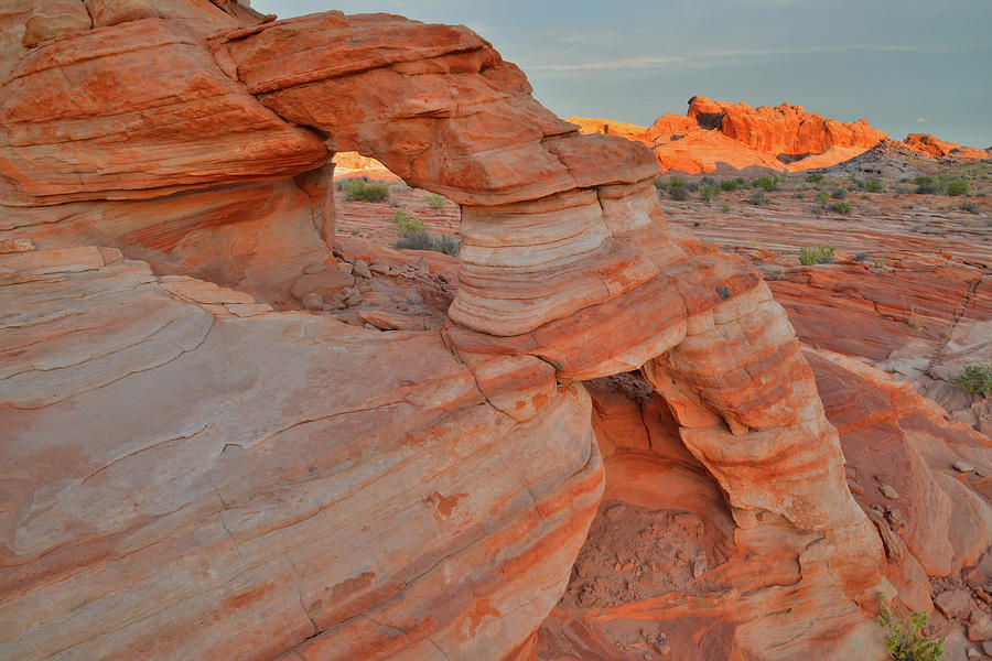 Las Vegas Photograph - Sunrise in Valley of Fire State Park by Ray Mathis