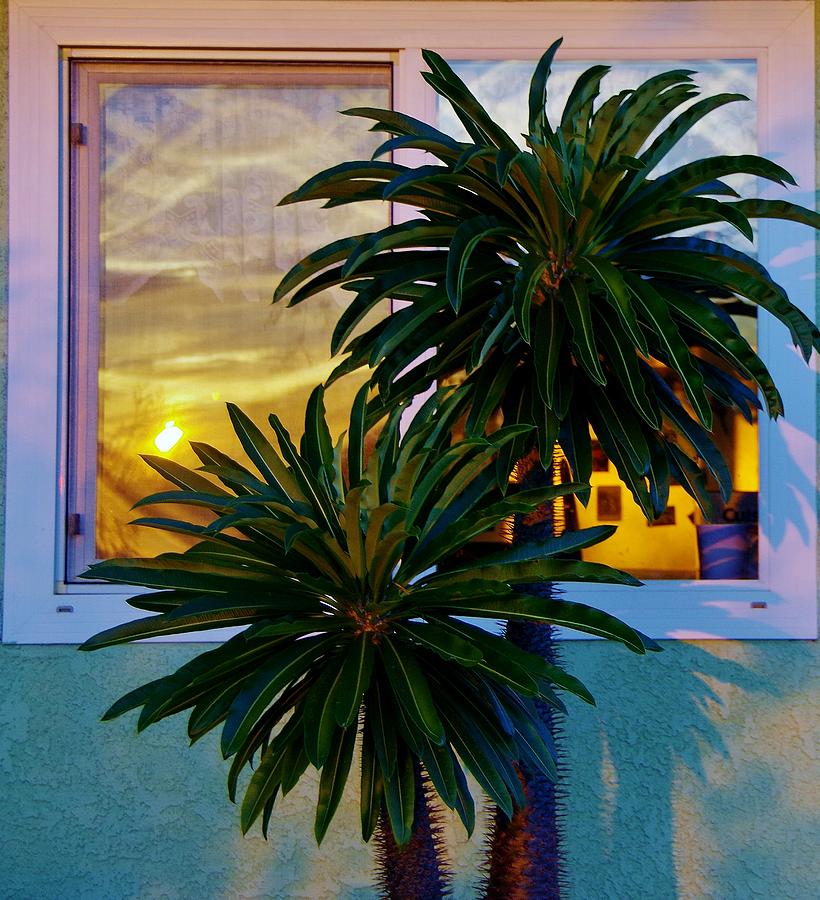 Sunrise in Window 3 Photograph by Phyllis Spoor