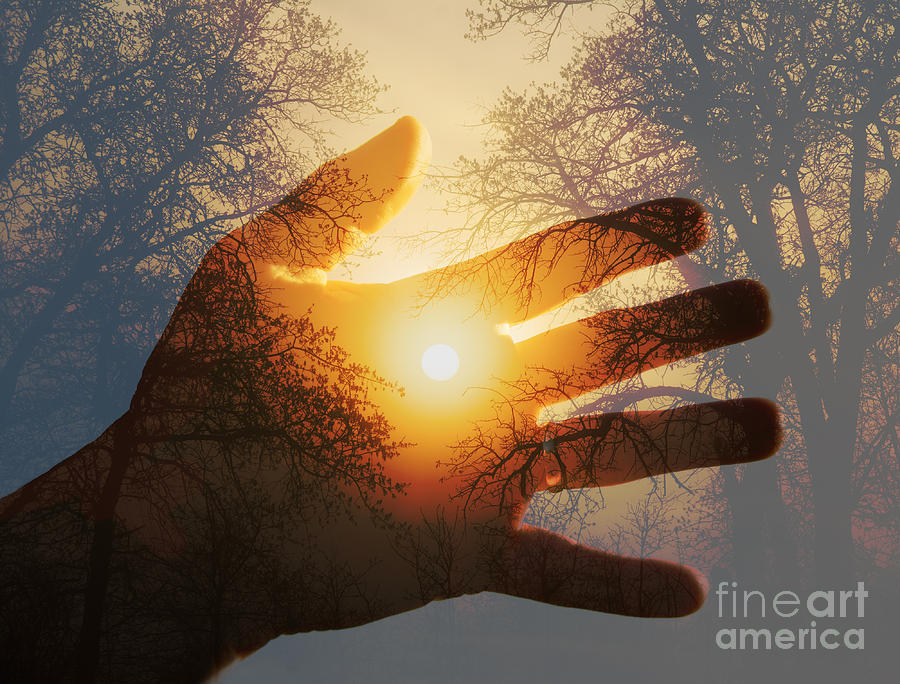 Sunrise In Your Hand Photograph by Sari ONeal