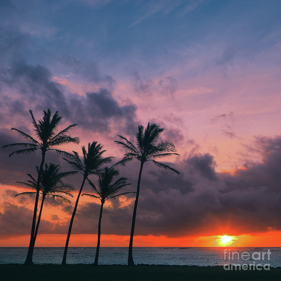 Sunrise Kapaa Beach Park - Kauai Photograph by Henk Meijer Photography