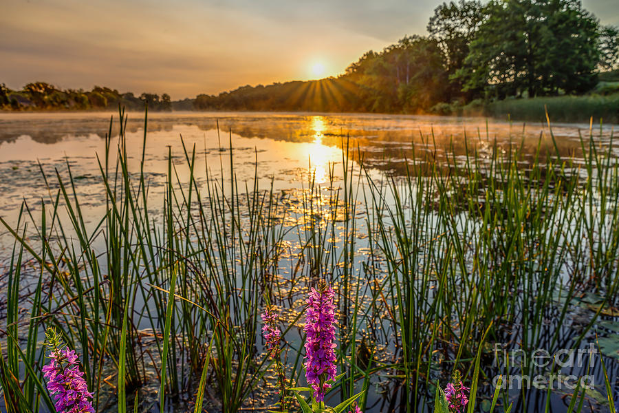 Sunrise Photograph - Sunrise Kent Lake by Patrick Shupert