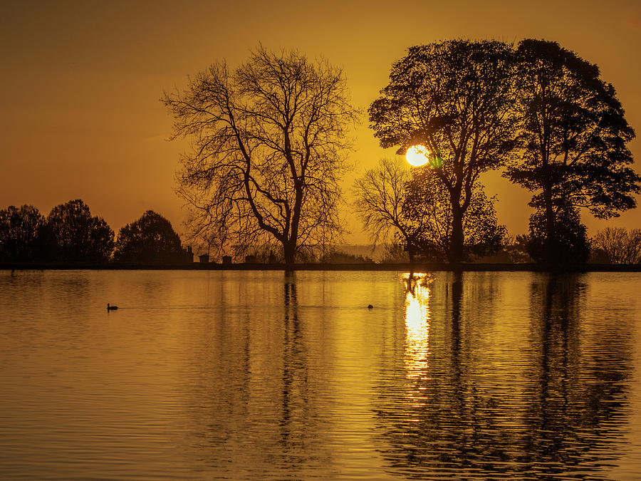 Sunrise Lake Photograph by Chris Smith