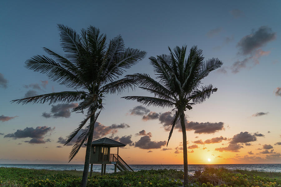 Sunrise Lifeguard Station Palms Delray Beach Florida Photograph by Lawrence S Richardson Jr