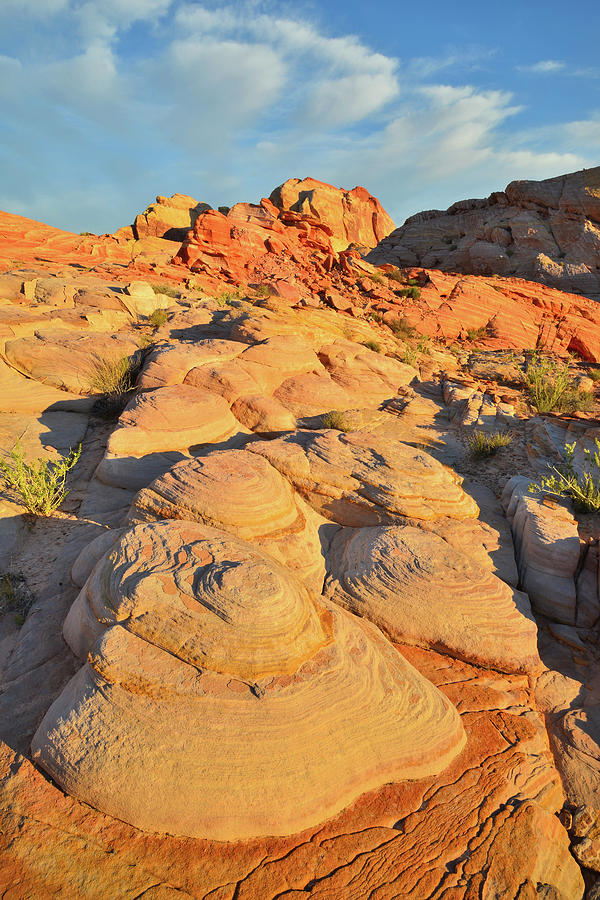 Sunrise Light in Valley of Fire Photograph by Ray Mathis