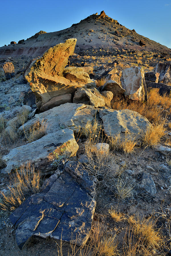 Sunrise Light on Boulders and Bentonite Hills Photograph by Ray Mathis