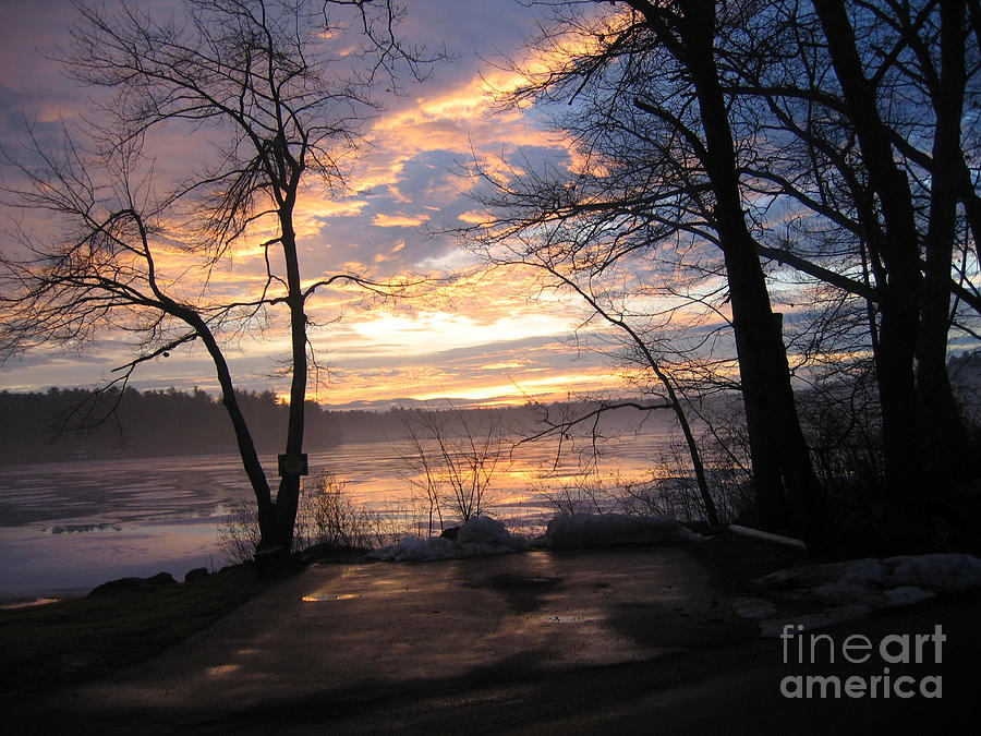 Tree Photograph - Sunrise  by Lyn Vic