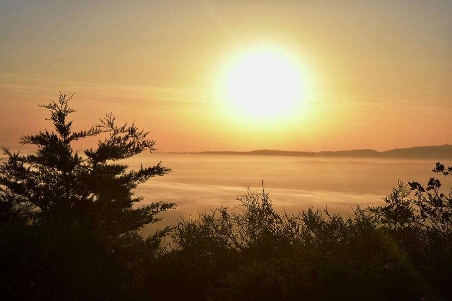 Sunrise Photograph - Sunrise by Lynda Anne Williams Sunrise Photograph - Sunrise by Lynda Anne Williams