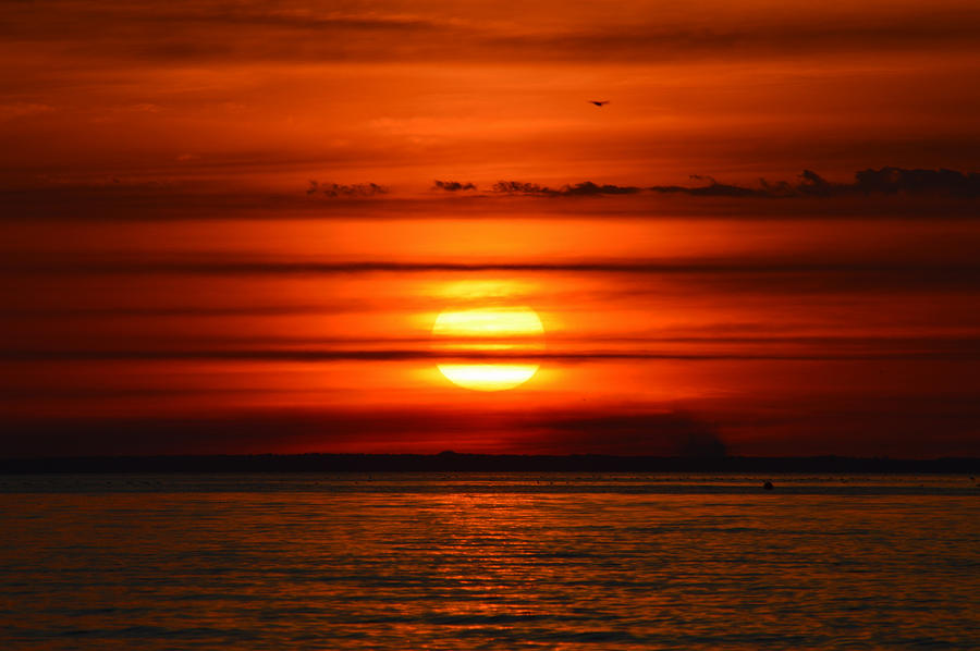 Sunrise Meditation Over Cape Cod Bay Photograph by Dianne Cowen Cape Cod Photography