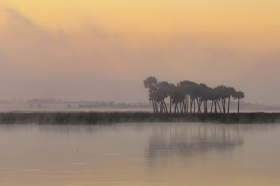 Sunrise Mist at Lake Photograph by Stefan Mazzola