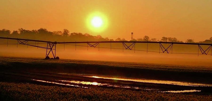 Sunrise Mist on the Farm Photograph by Shawn M Greener