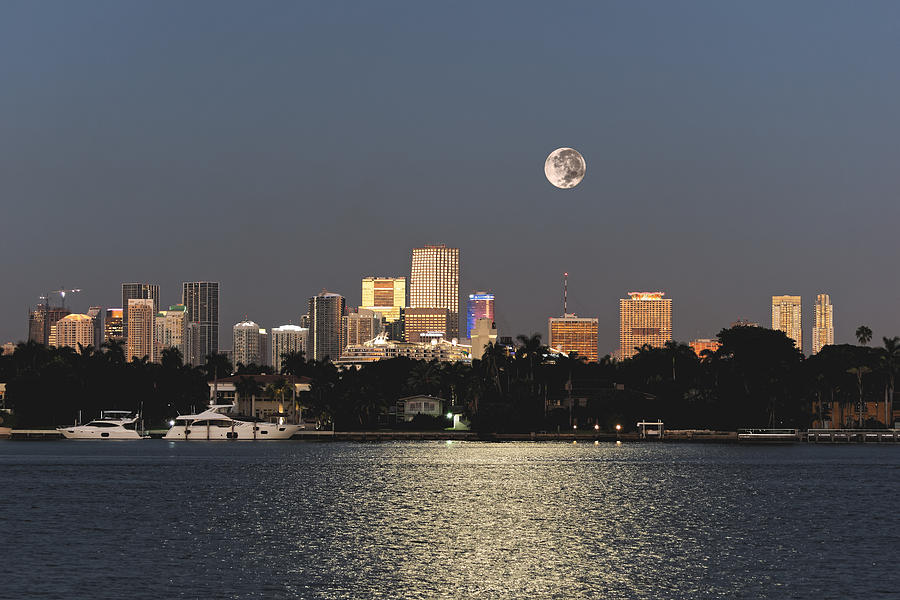  Moonrise Over Miami Photograph by Gary Dean Mercer Clark