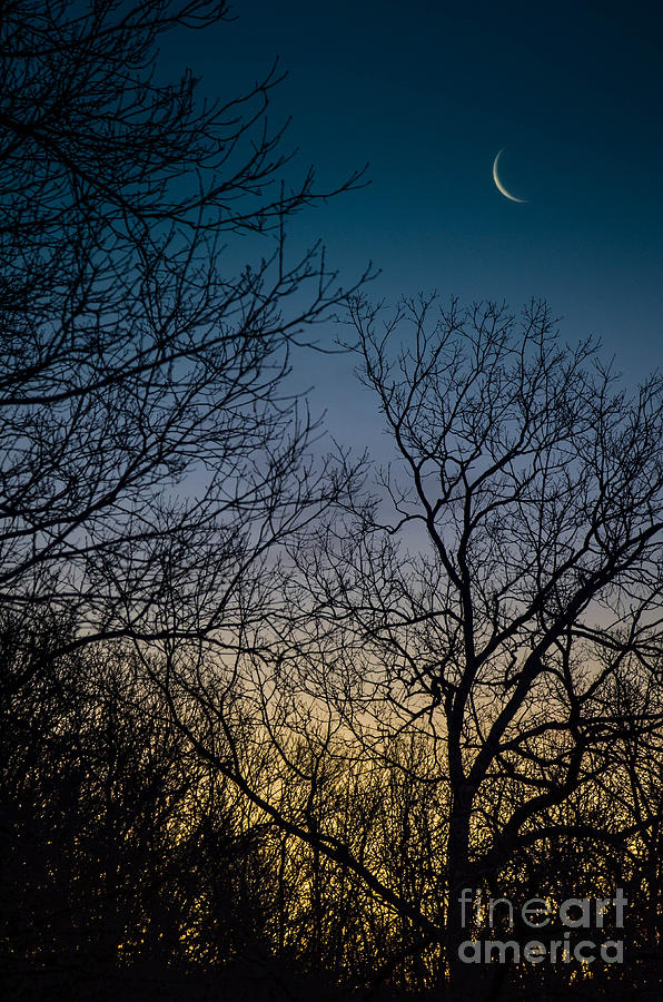 Waning Crescent at Sunrise Photograph by Amy Porter