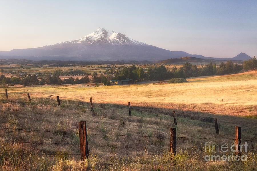 Sunrise Mount Shasta Photograph by Anthony Michael Bonafede
