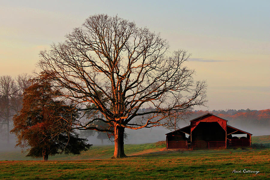 Greensboro GA Sunrise Oak Red Barn Misty Morning Farming Landscape Art Photograph by Reid Callaway