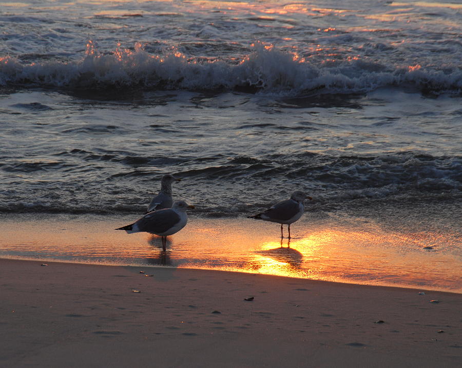 Sunrise Ocean 49 Photograph by Joyce StJames