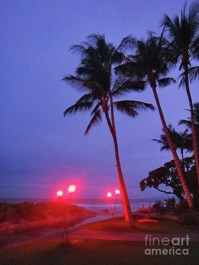 Sunrise Ocean Pathway Photograph by Bette Phelan