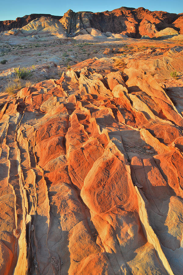 Sunrise of Waves of Sandstone in Valley of Fire Photograph by Ray Mathis