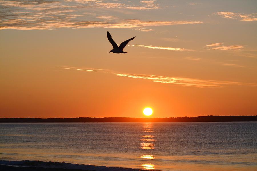 Sunrise Old Orchard Beach Maine Photograph by Judy Genovese
