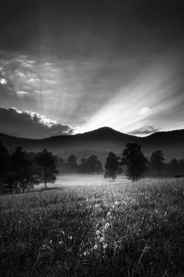 Sunrise On A Foggy Morning in Black and White Photograph by Greg and Chrystal Mimbs