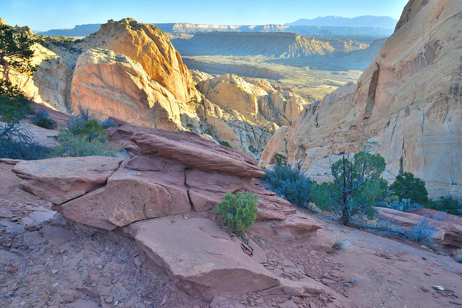 Sunrise on Burr Trail Switchbacks Photograph by Ray Mathis