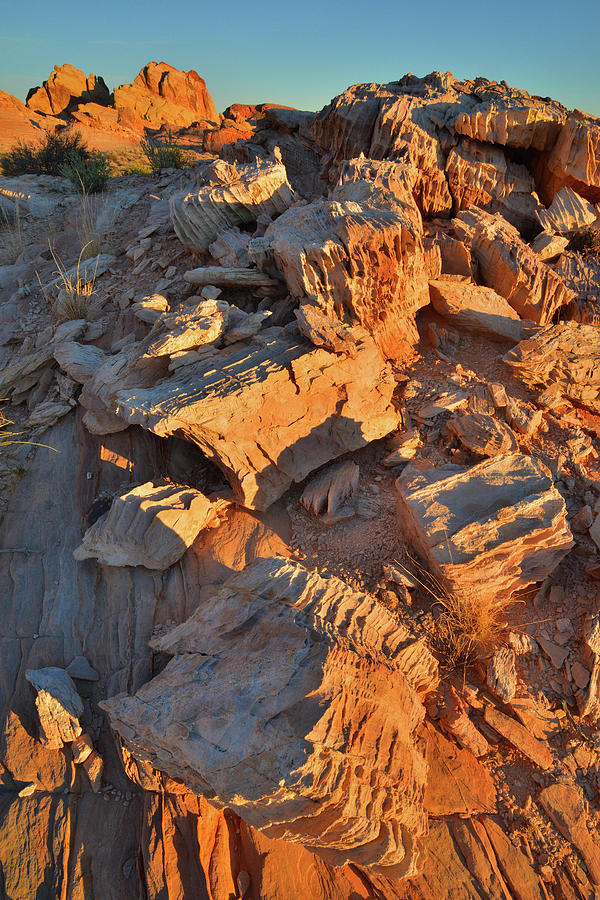 Sunrise on Corrugated Rocks in Valley of Fire Photograph by Ray Mathis