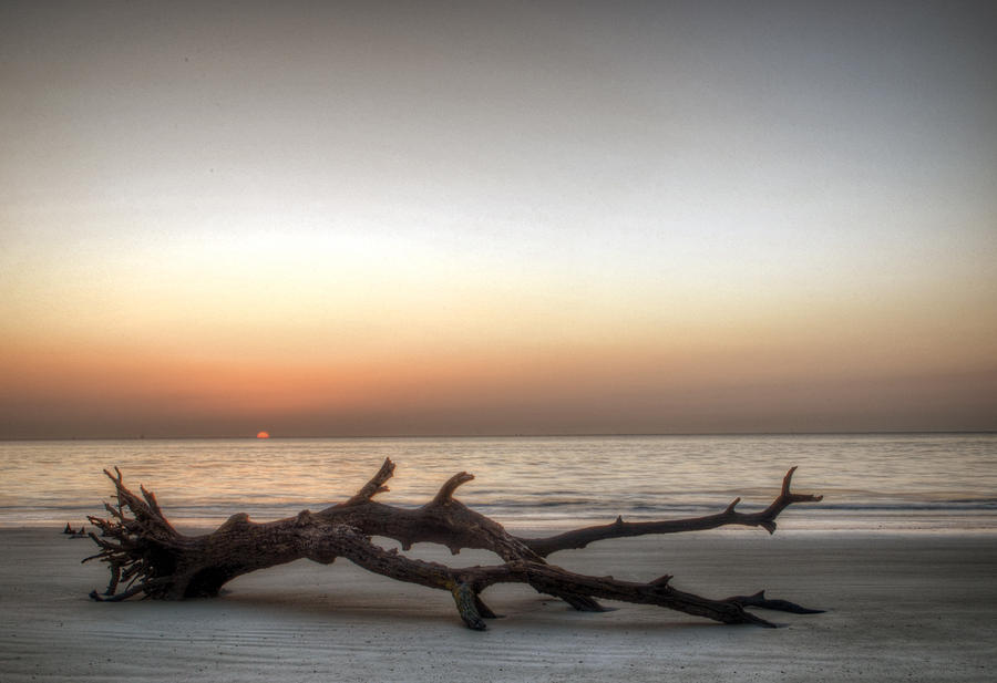 Sunrise On Driftwood Photograph by Greg and Chrystal Mimbs
