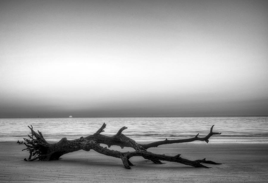 Sunrise On Driftwood in Black and White Photograph by Greg and Chrystal Mimbs