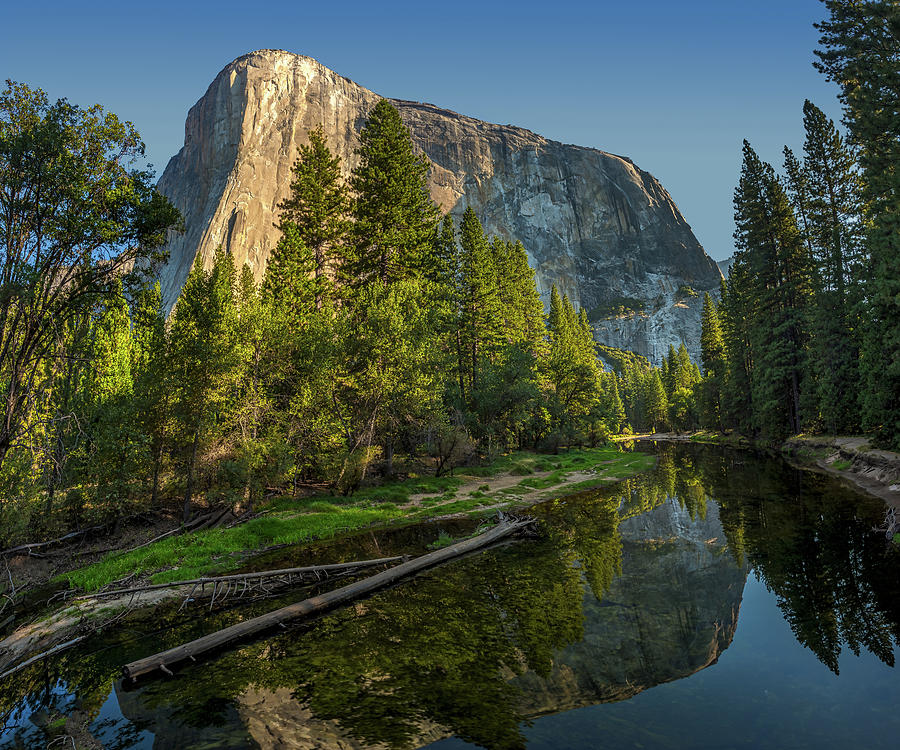 Yosemite National Park Photograph - Sunrise on El Capitan by Peter Tellone