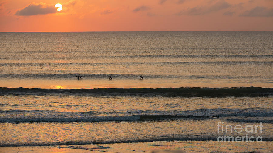 Sunrise on Flagler beach Photograph by Agnes Caruso