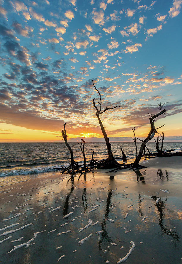 Sunrise on Folly Photograph by Charles Lawhon | Fine Art America