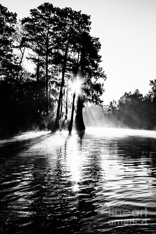 Wildlife Photograph - Sunrise on Grand Bayou by Scott Pellegrin